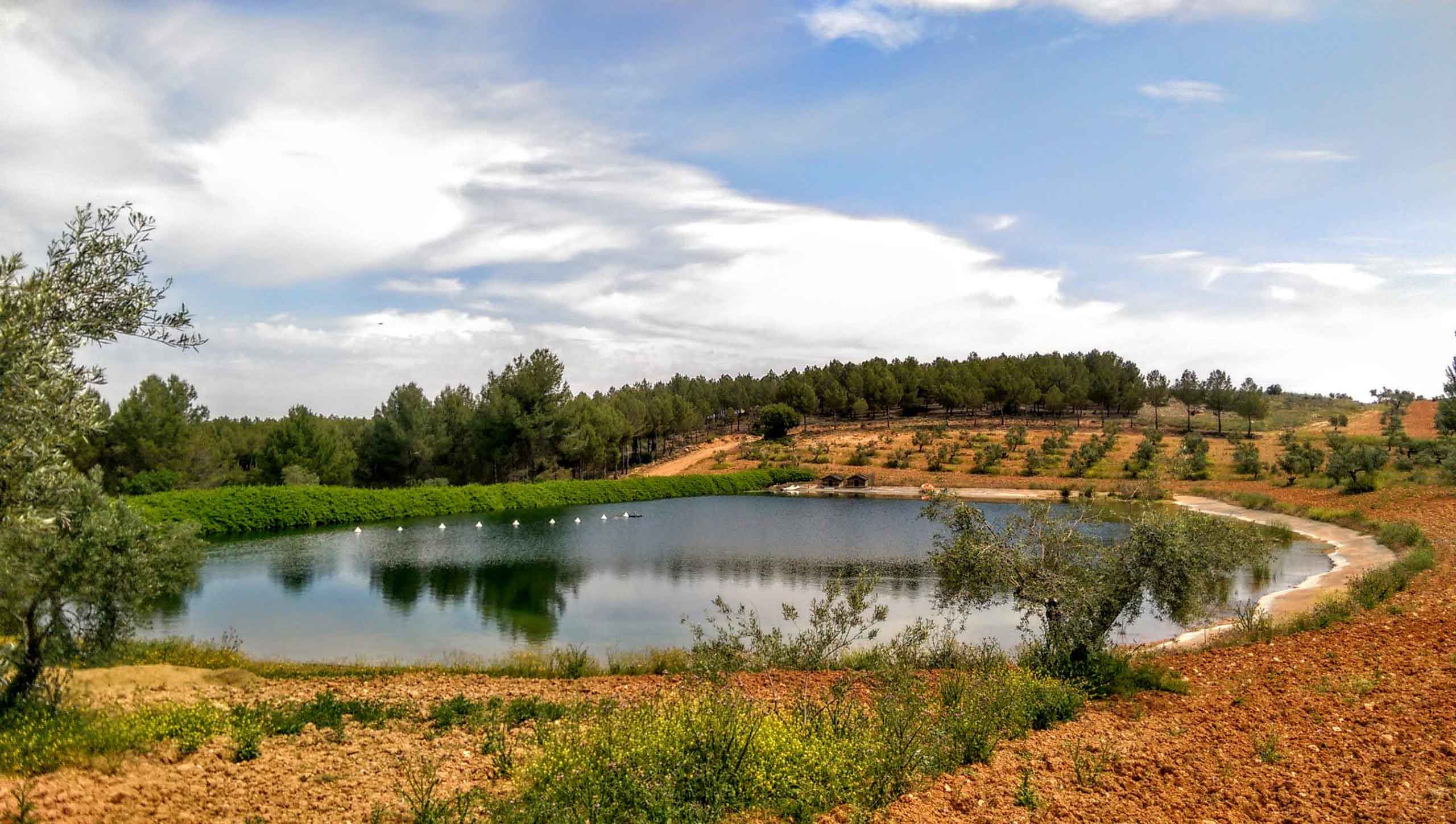 balsas-de-riego-agricolas-imcur-www.imcur.com