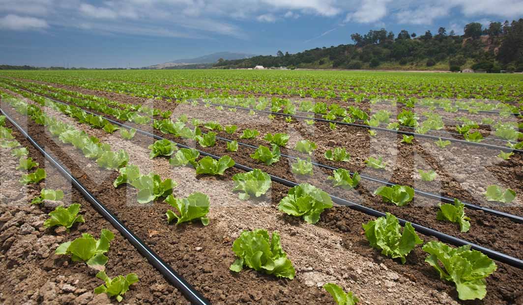 gestion-de-aguas-pluviales-imcur-www.imcur.com